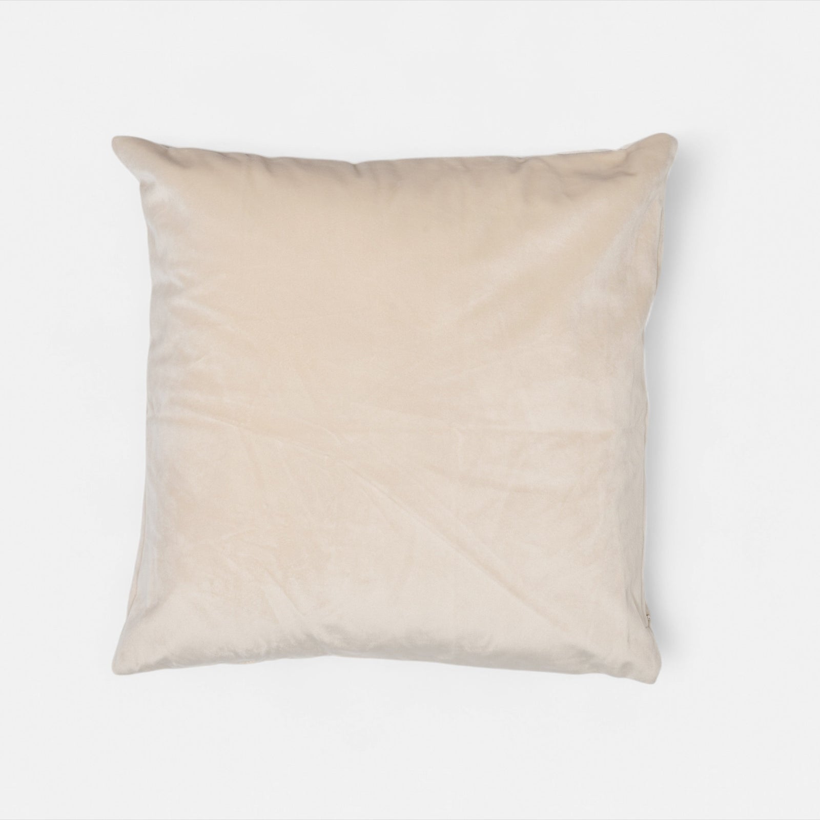 Blush Velvet Cushion