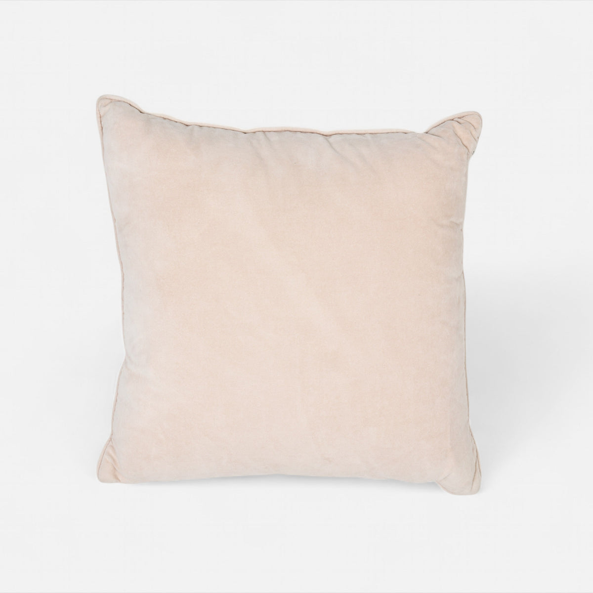Blush Velvet Cushion