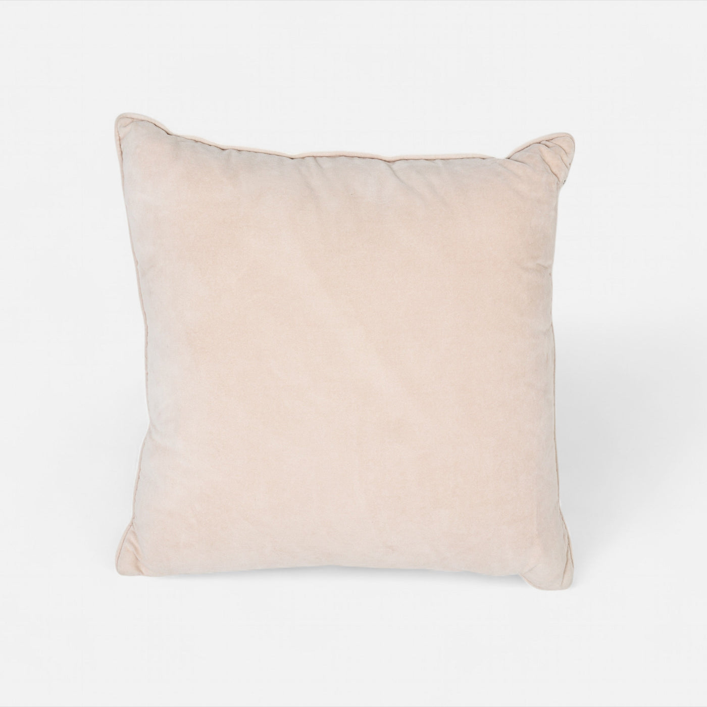 Blush Velvet Cushion