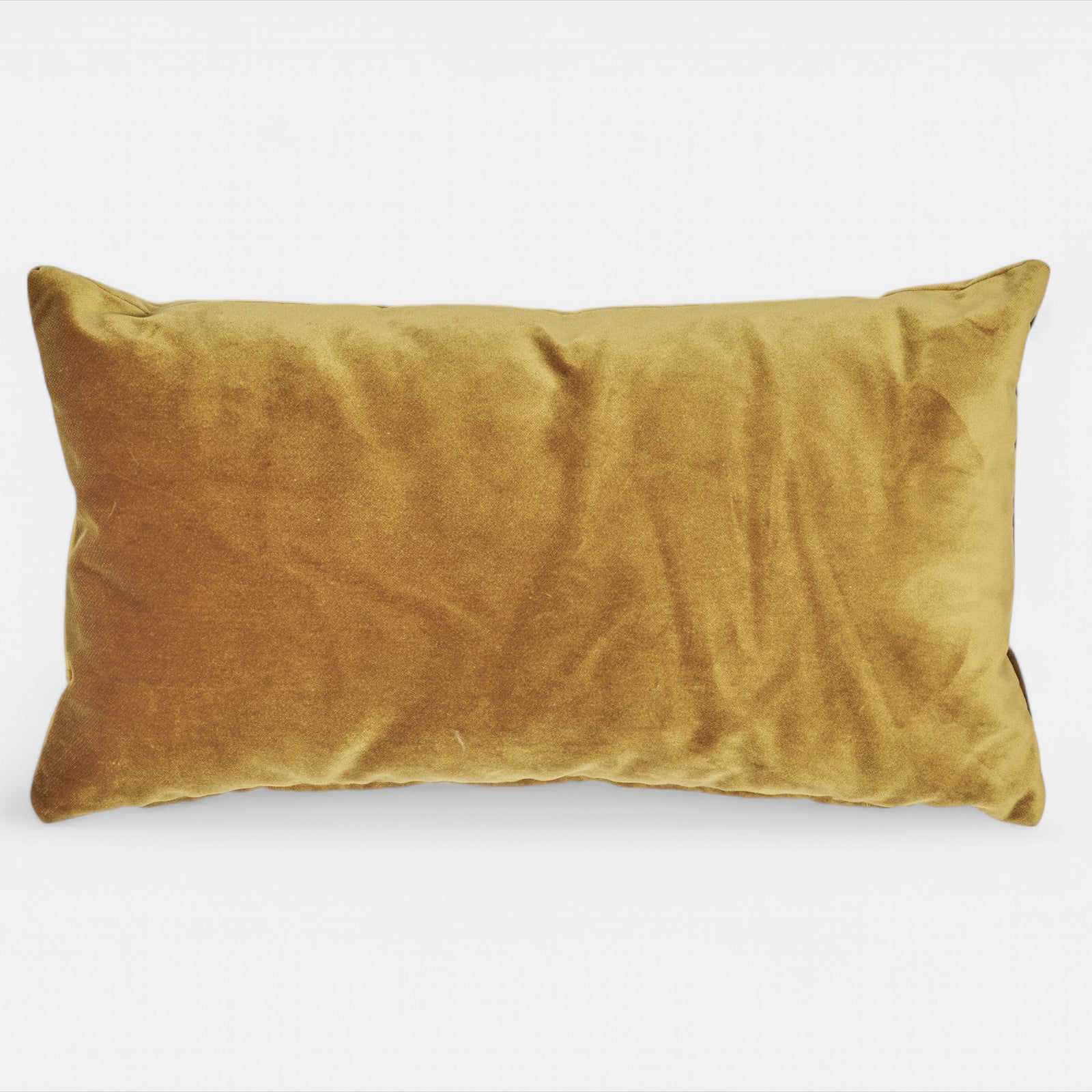 Golden shine velvet cushion S