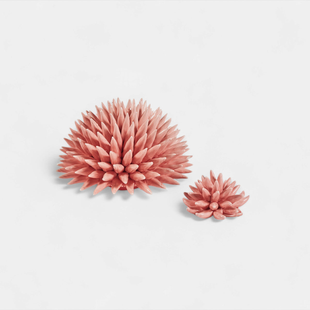 Sea Urchin Decorative Object Pink