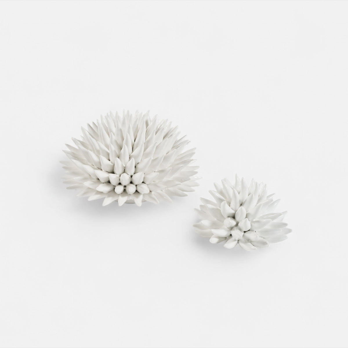 Sea Urchin Decorative Object White