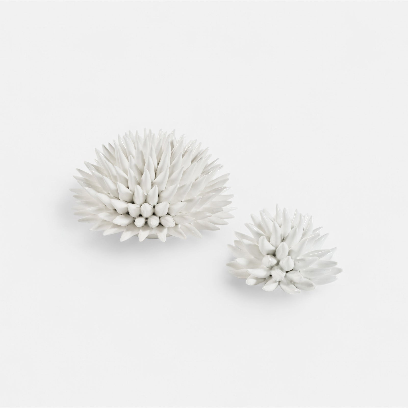 Sea Urchin Decorative Object White