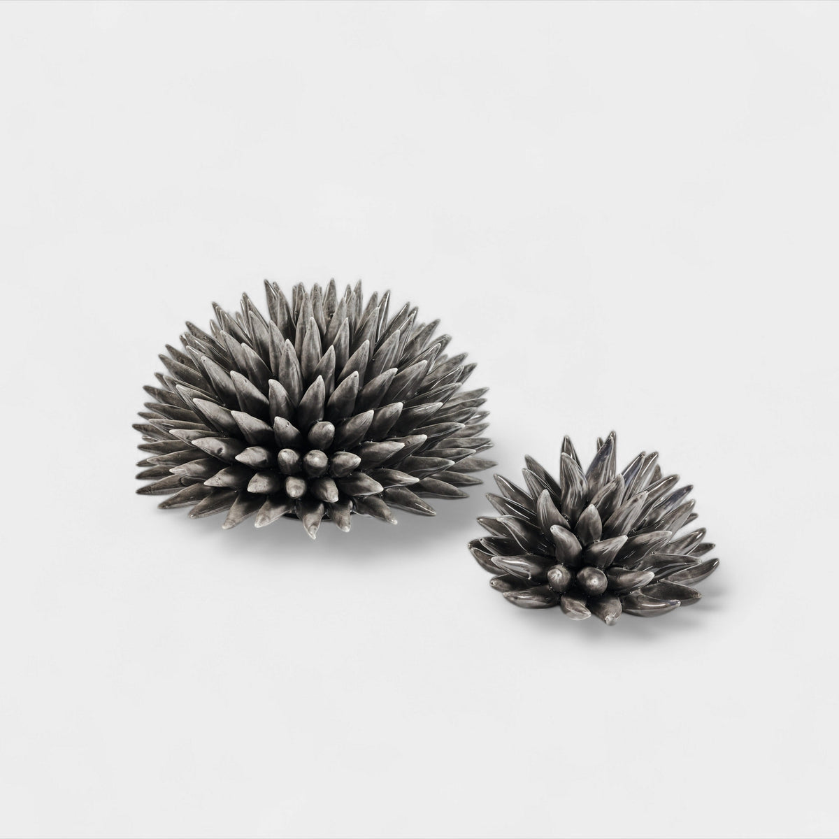 Sea Urchin Decorative Object Black