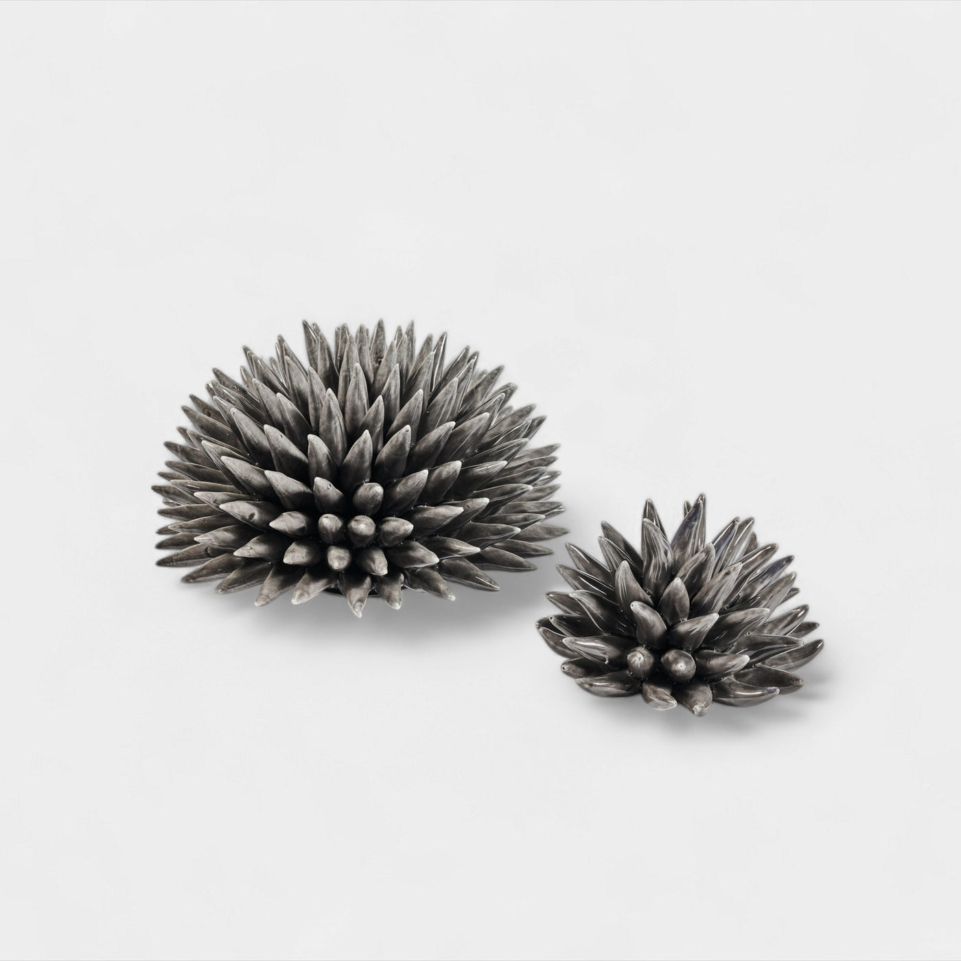 Sea Urchin Decorative Object Black