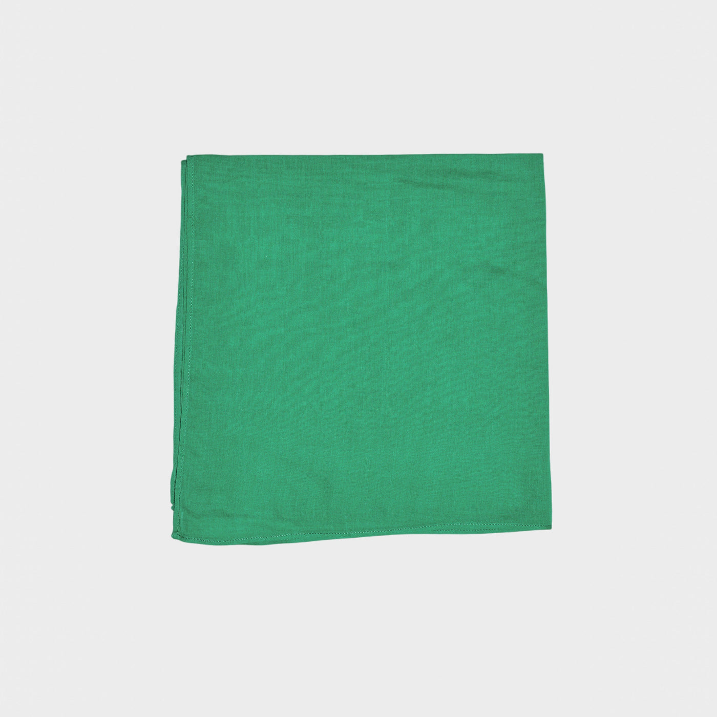 Green Napkin