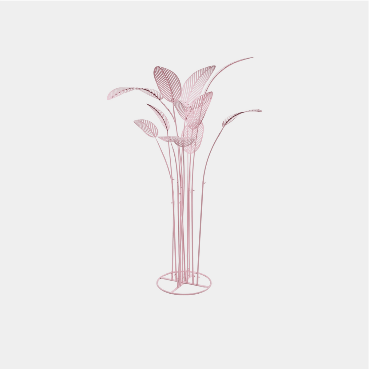 Pink Palm