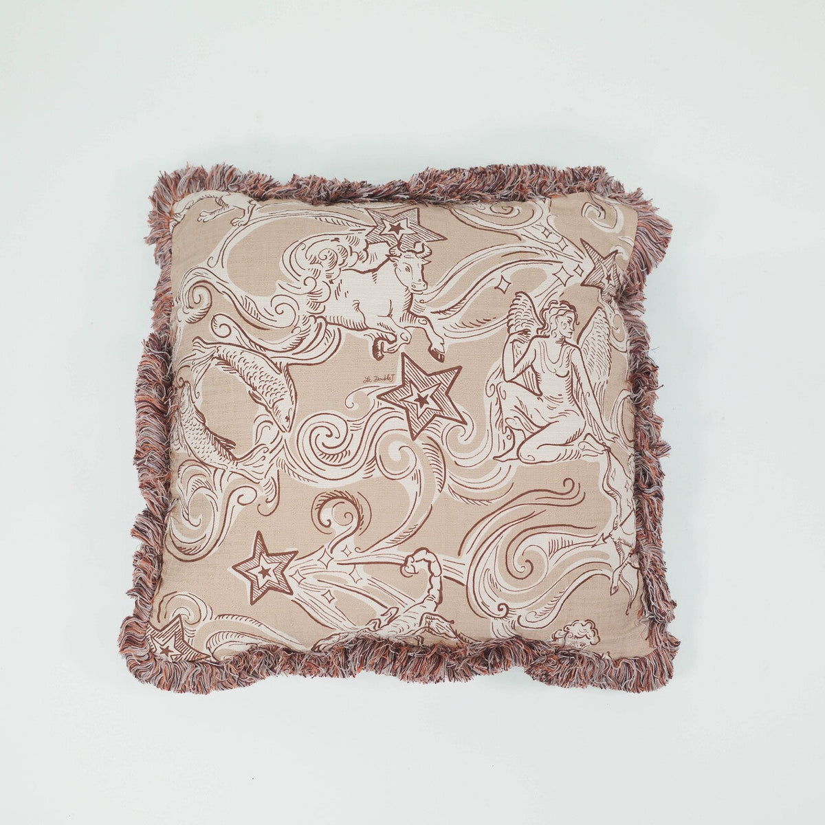 Cosmos Cushion