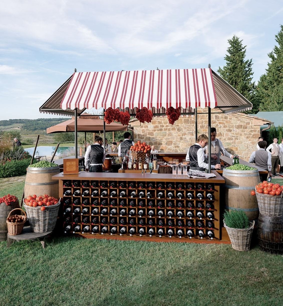 Wood Bar w / bottle rack / lights & curtains